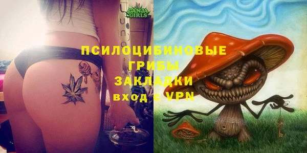гидропоника Алексеевка